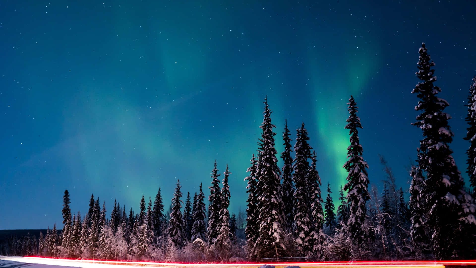 Den aurora borealis ses over en vej med træer Wallpaper