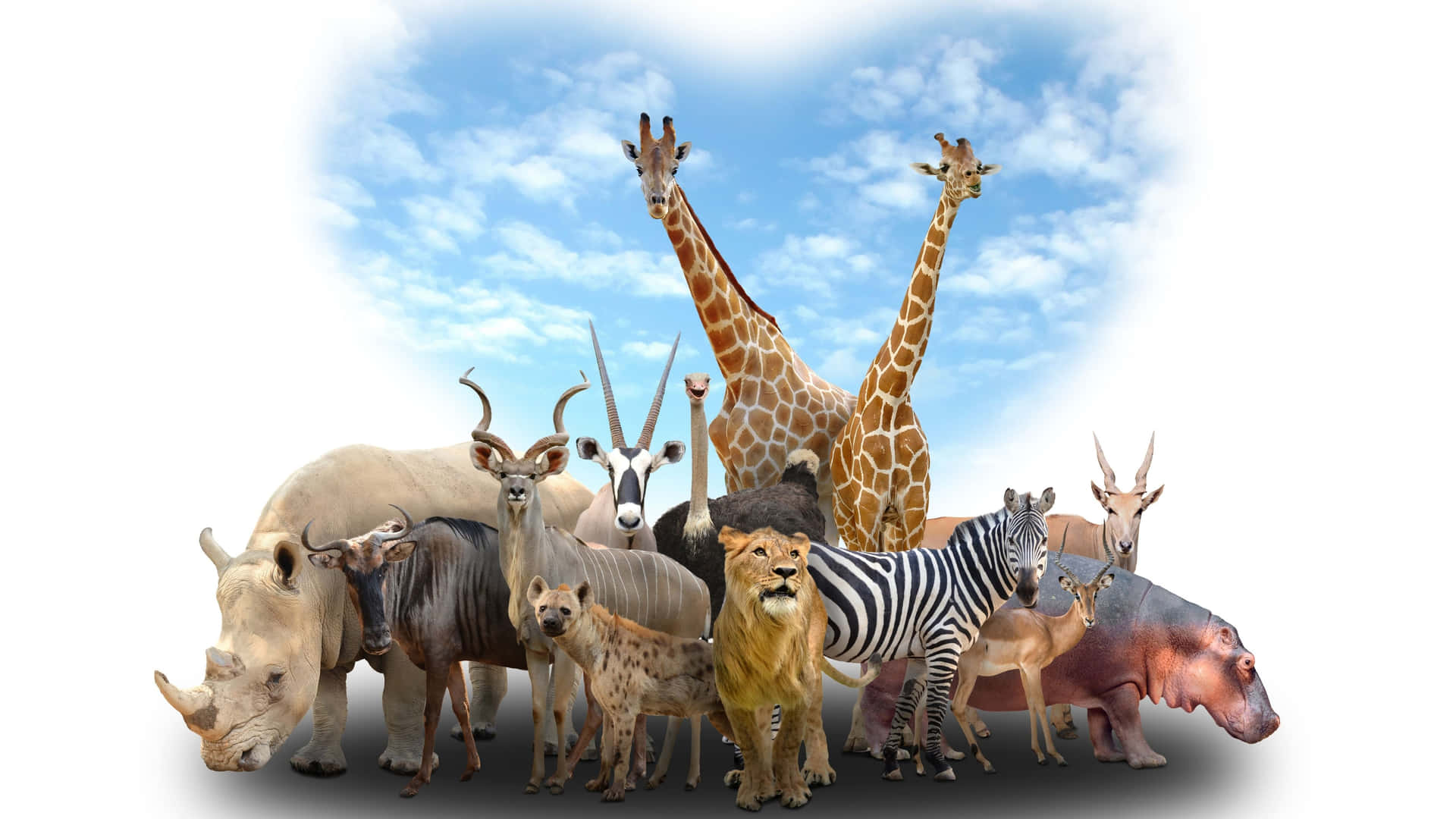 Various African Animals Digital Art 4k Monitor Wallpaper