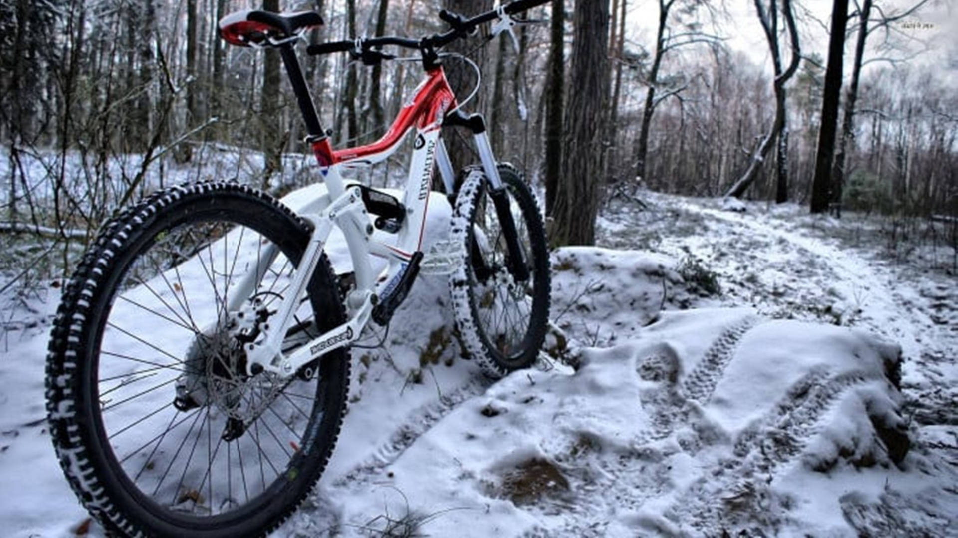 4k Mountain Bike On Snowy Forest Wallpaper