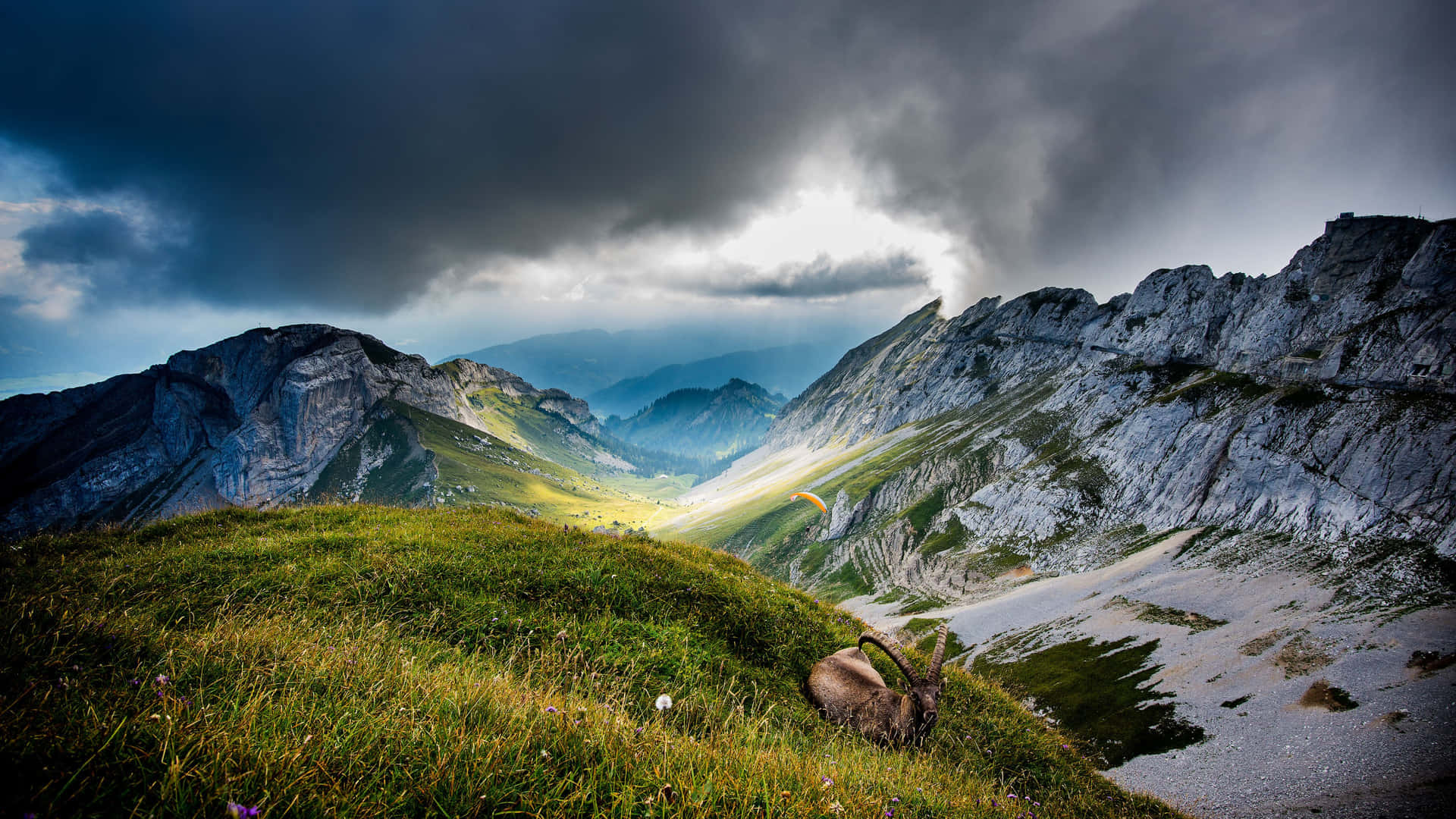 A Deer Is Grazing In The Mountains Under A Stormy Sky