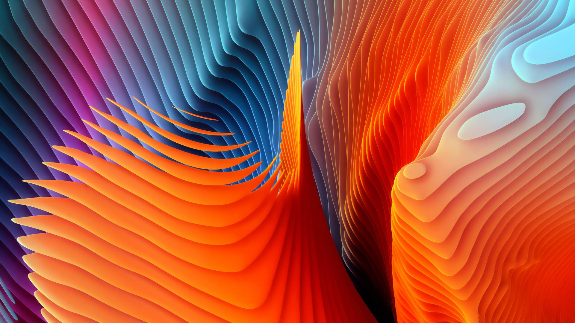 4k Moving Abstract Shape Design