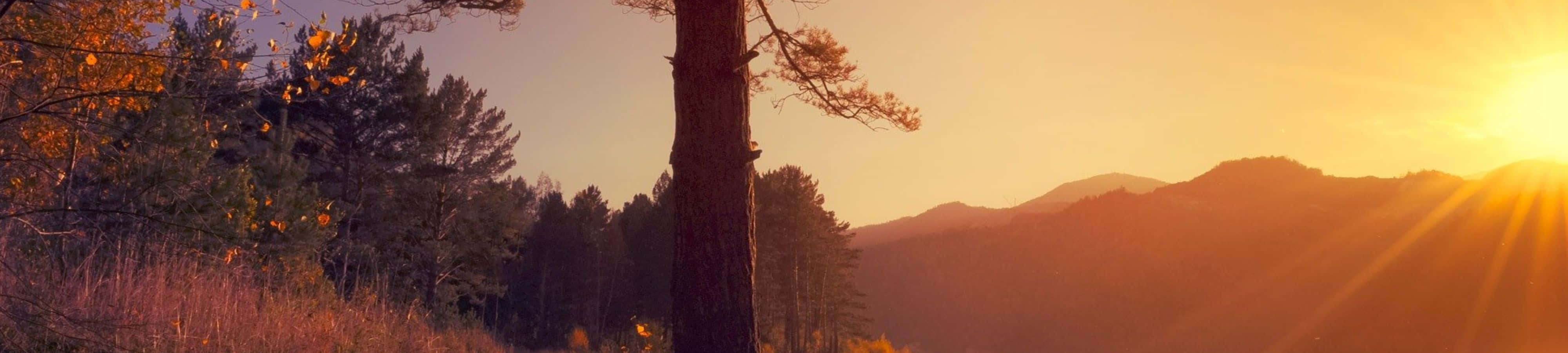 Njutav Naturens Skönhet.