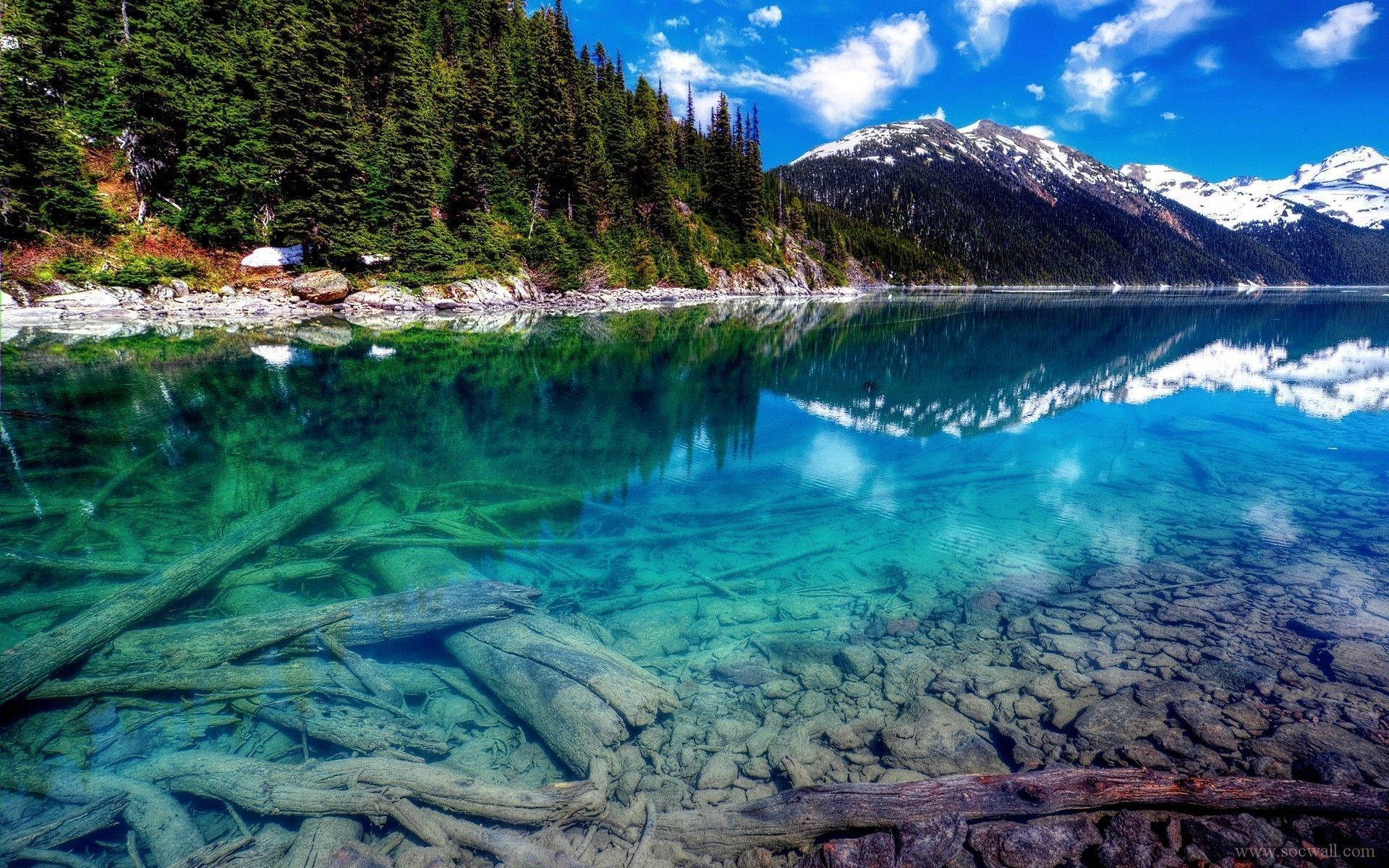 4k Nature Clear Waters