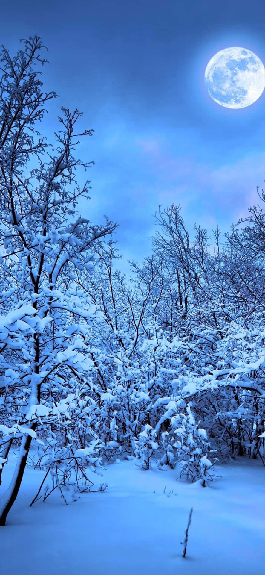 Snowy Nature 4K iPhone Wallpaper