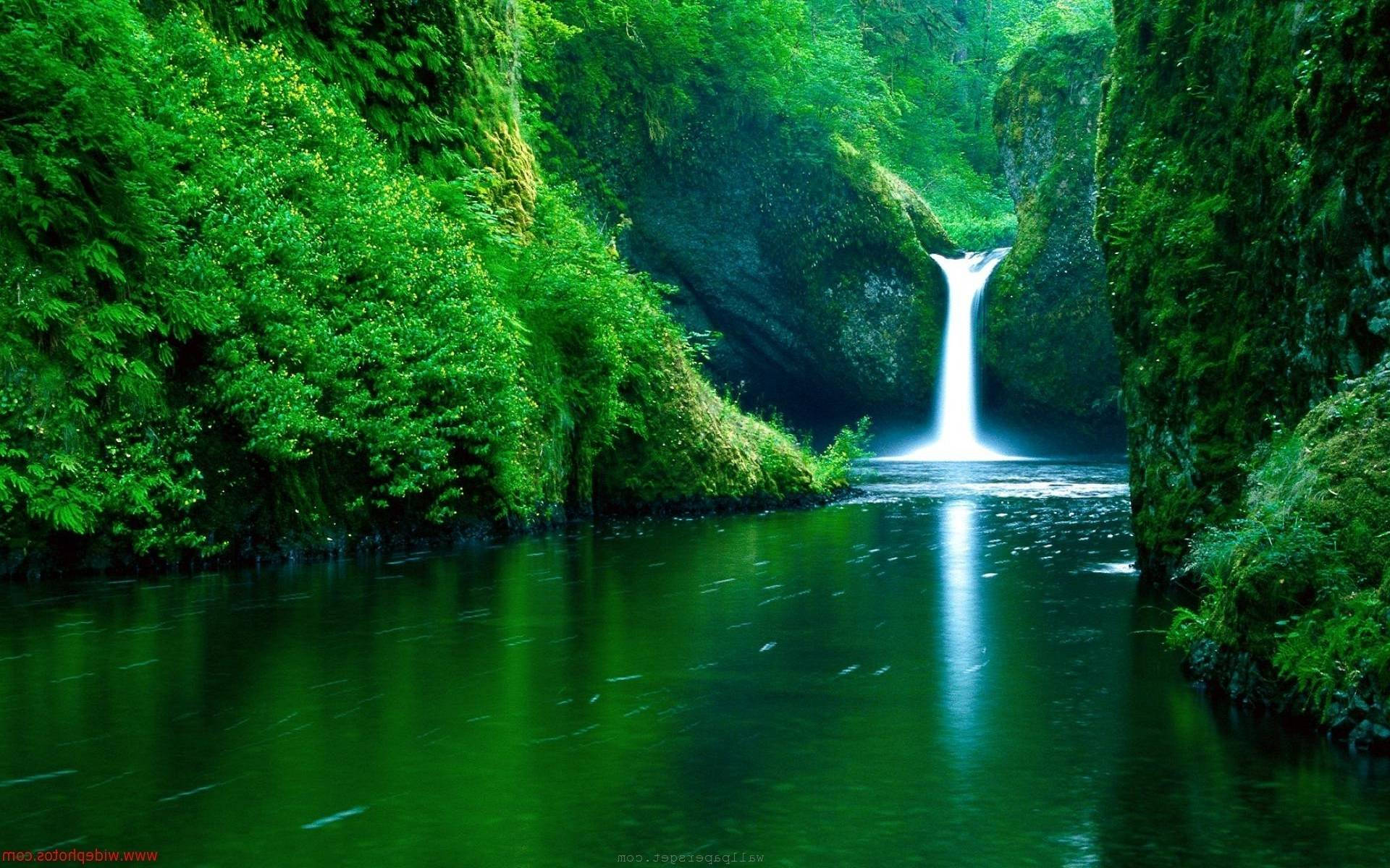 4k Nature Waterfall