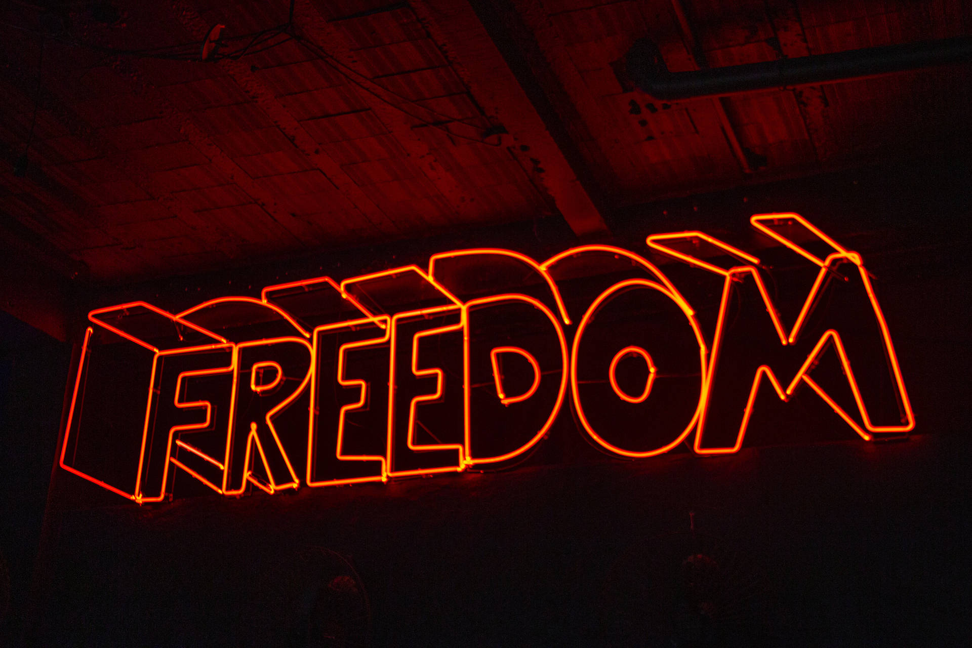 Libertà Al Neon 4k Sfondo