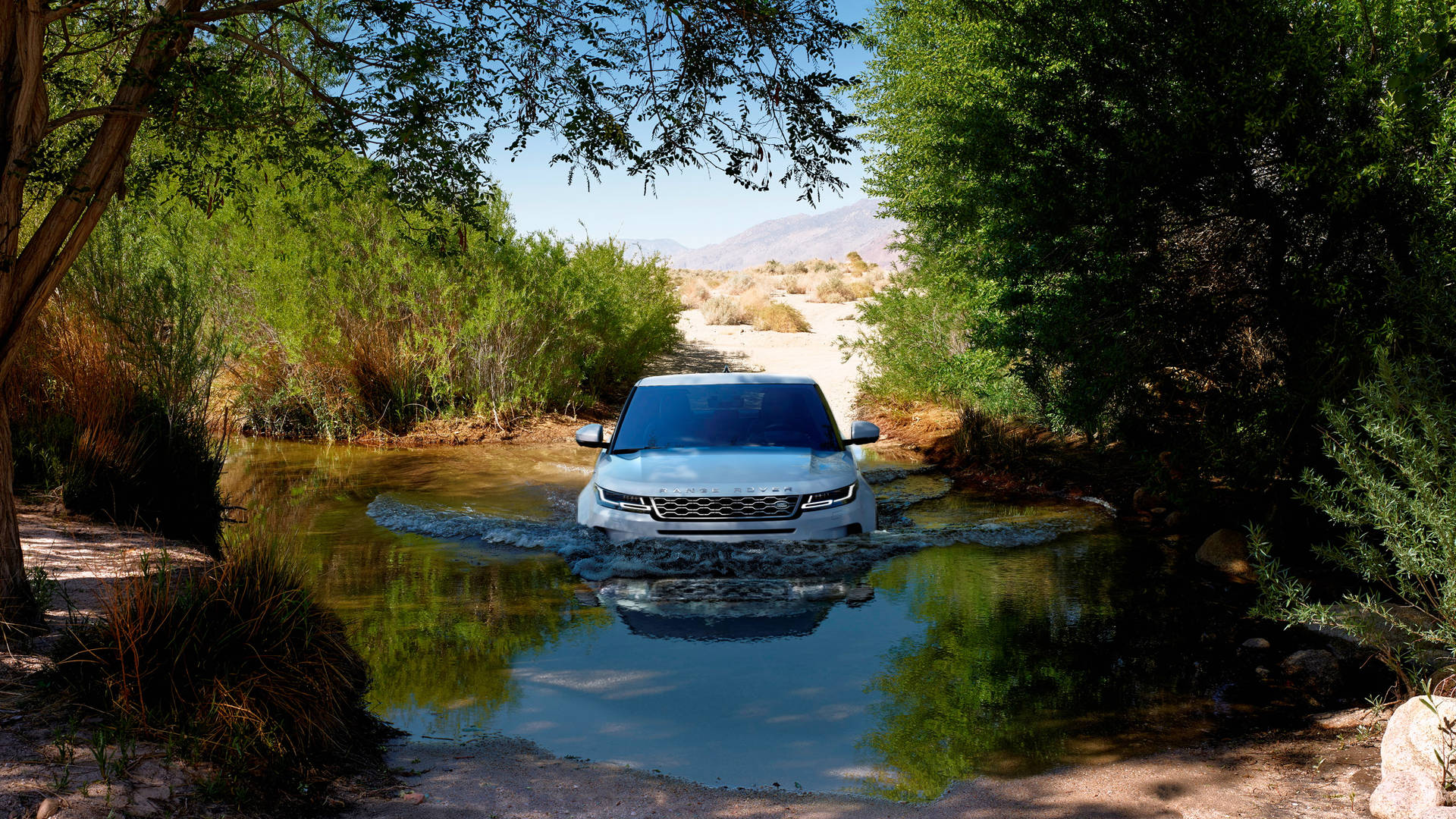  4K Range Rover Forest  Wallpaper