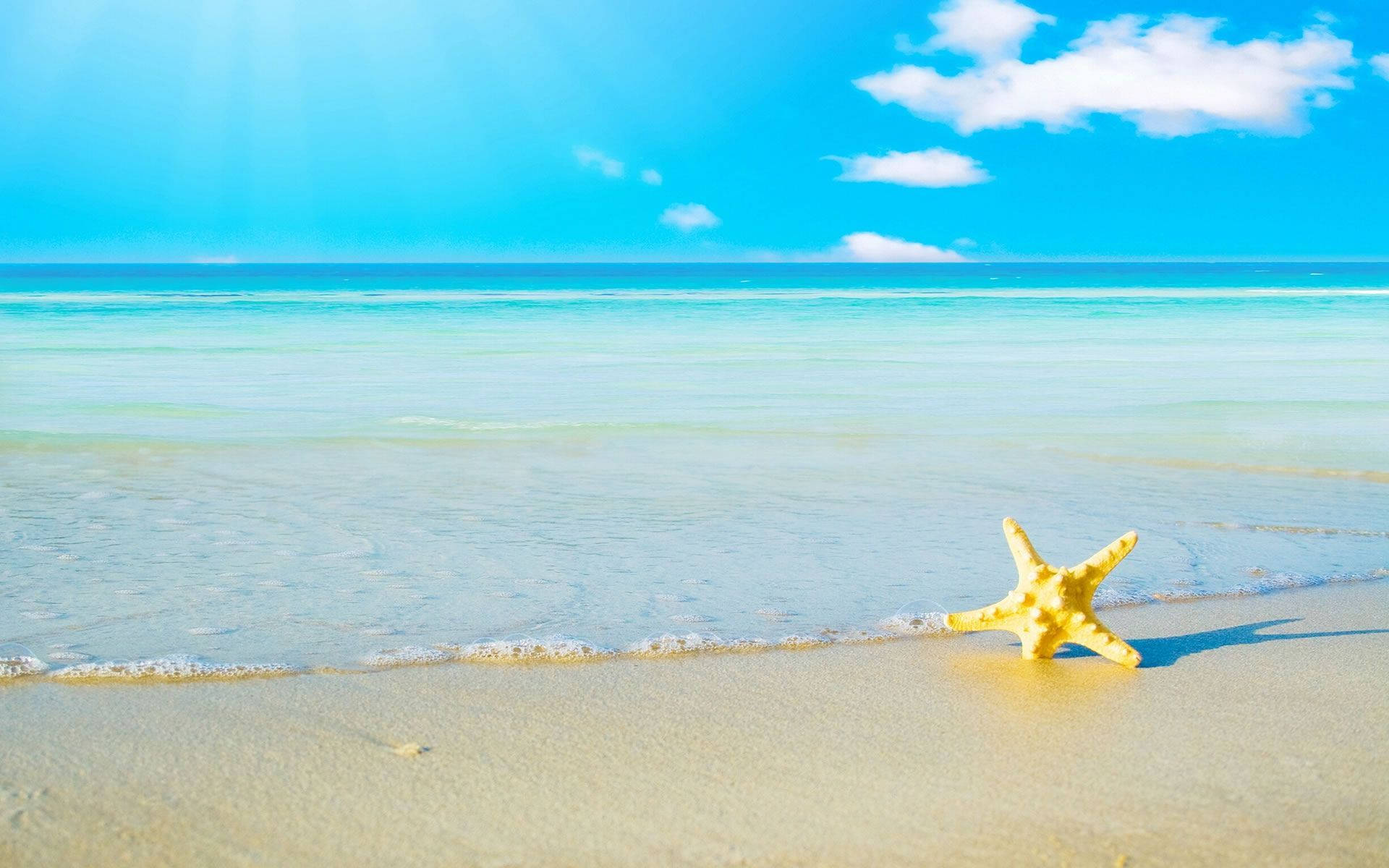 A Starfish On A Beach With Blue Sky And Sun Wallpaper