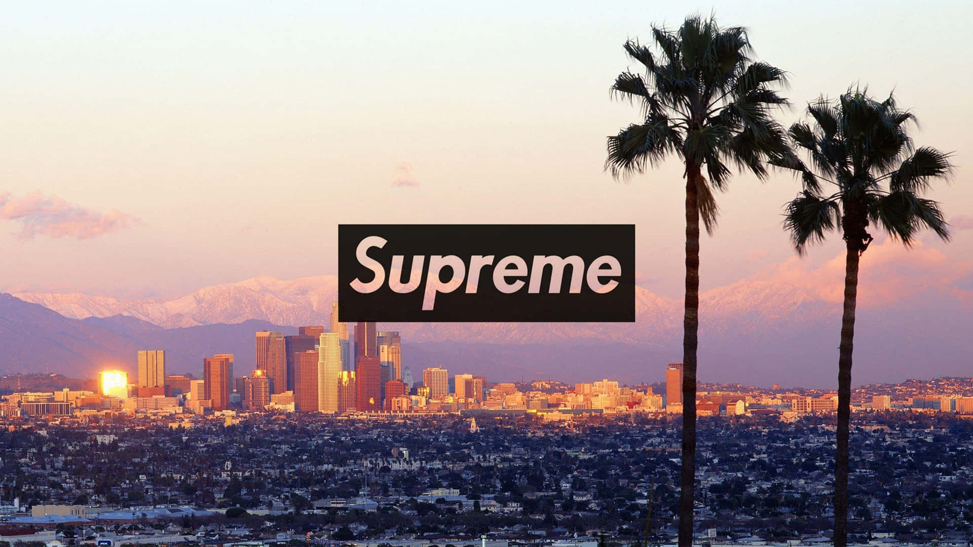 4k Supreme Sunset City And Palm Trees Wallpaper