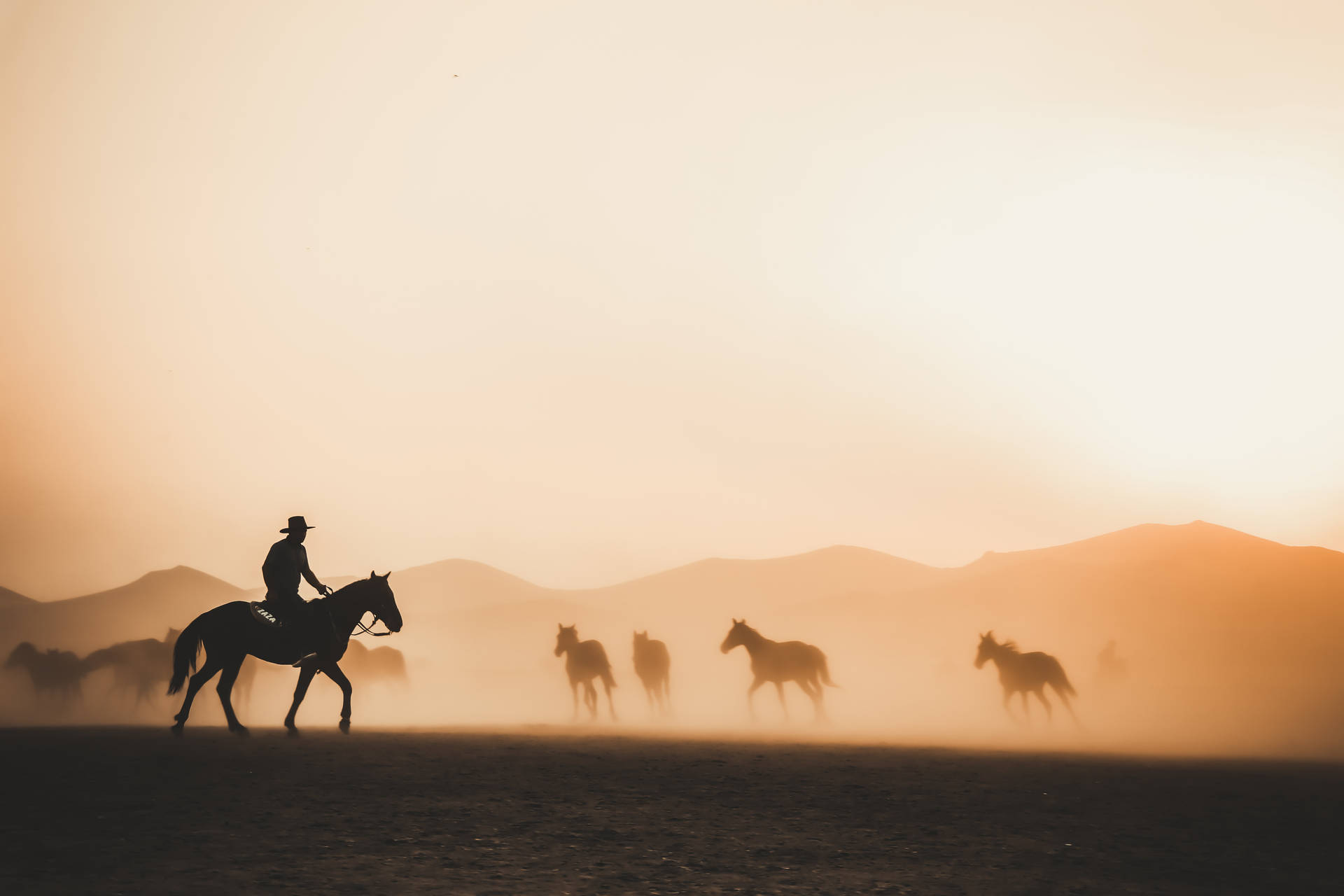 4k Tablet Cowboy Rounding Up Horses
