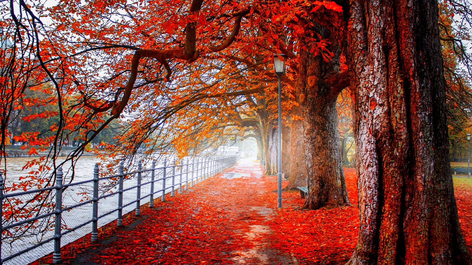 4K Ultra HD 2160p Red Autumn Trees Wallpaper
