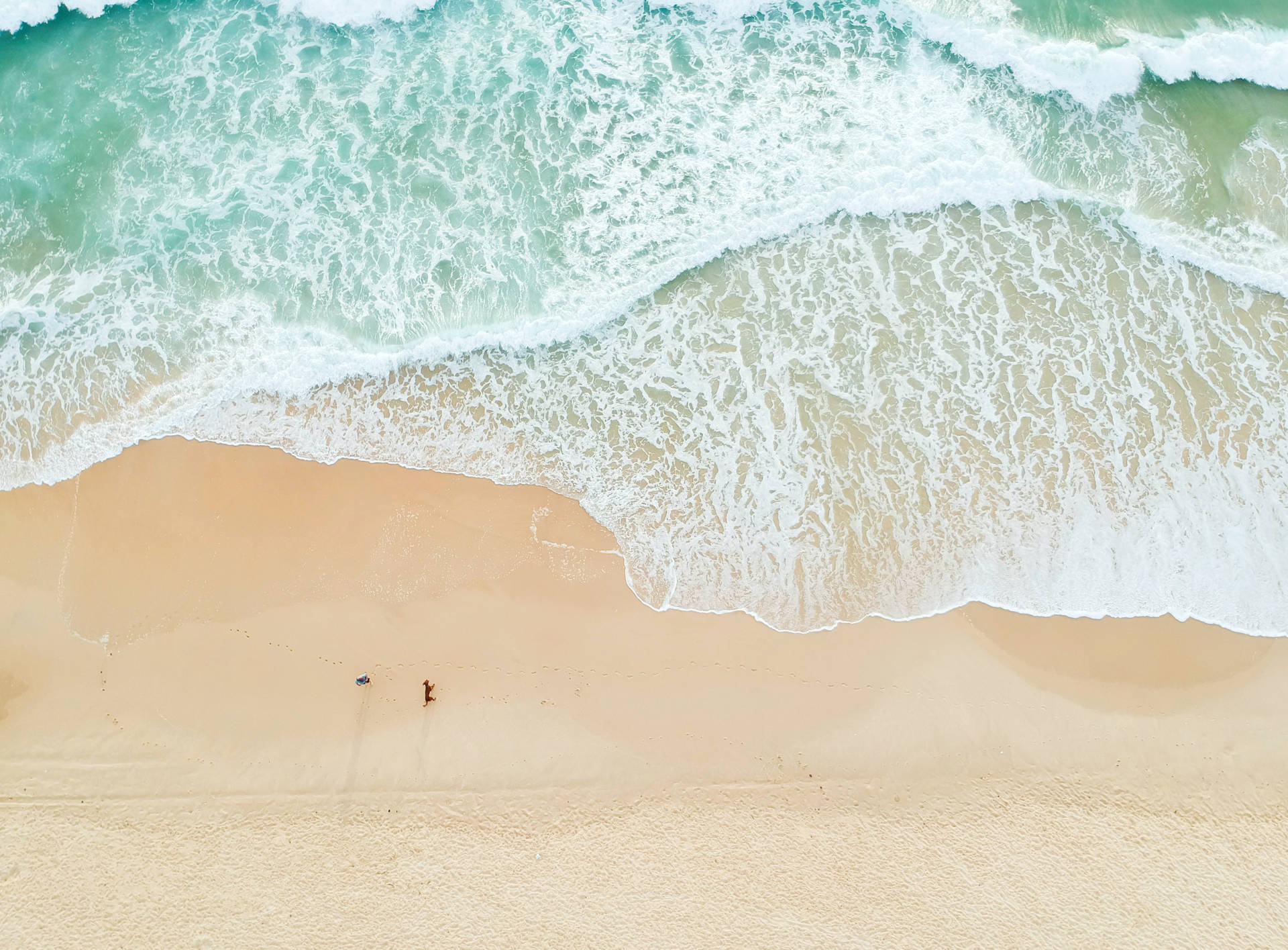4K Ultra HD Beach Drone Foto Tapet: Opsamler et præcist billede af en palmegruppe tæt på havet. Wallpaper
