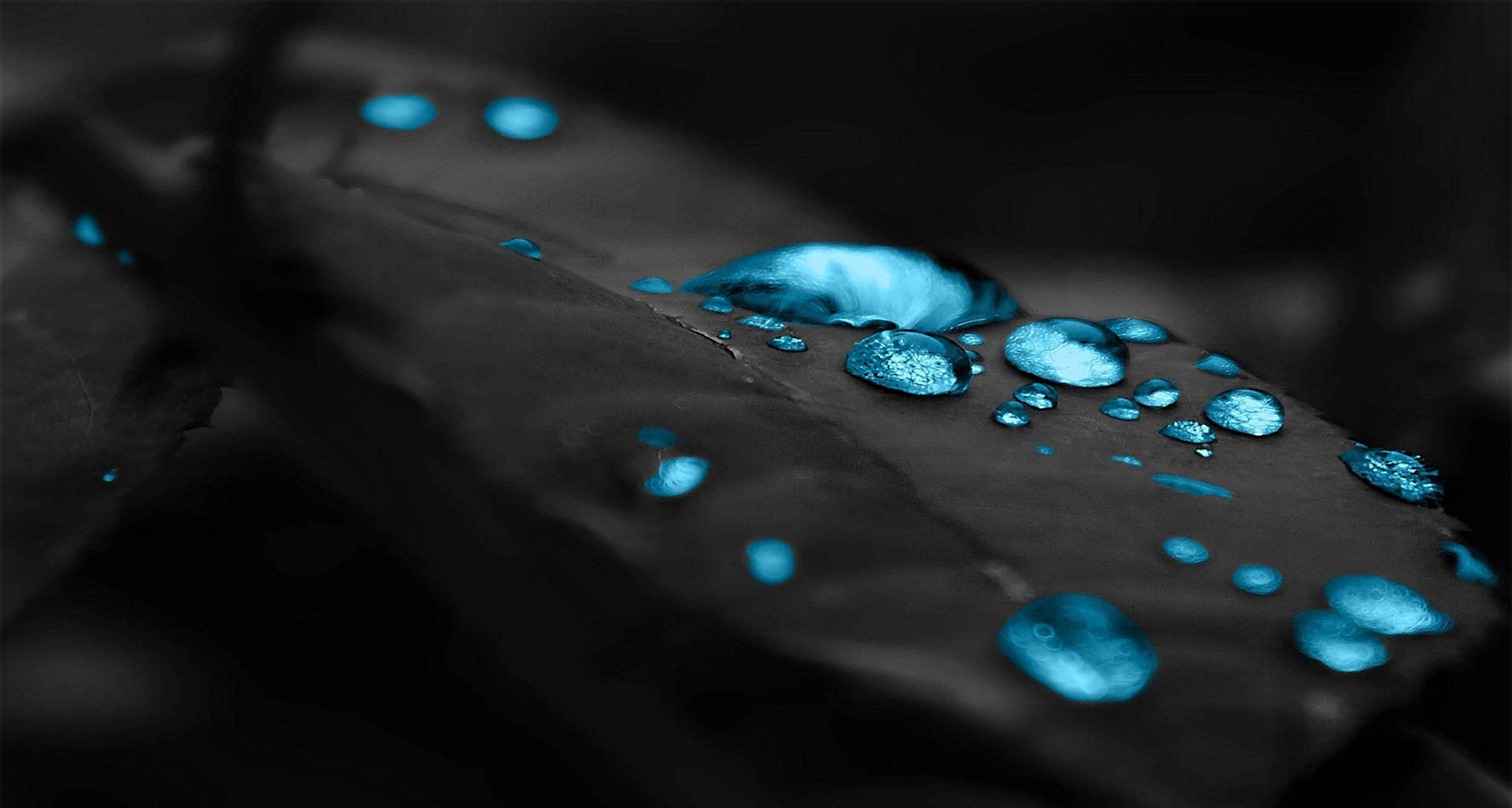 4K Ultra Hd Black Leaves Blue Drops Wallpaper