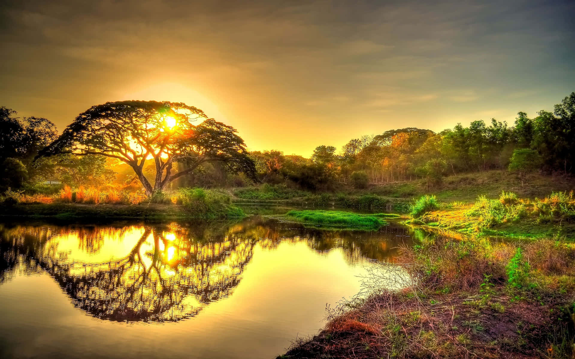 Top 150 hình nền thiên nhiên 4K đẹp nhất thế giới  TRẦN HƯNG ĐẠO