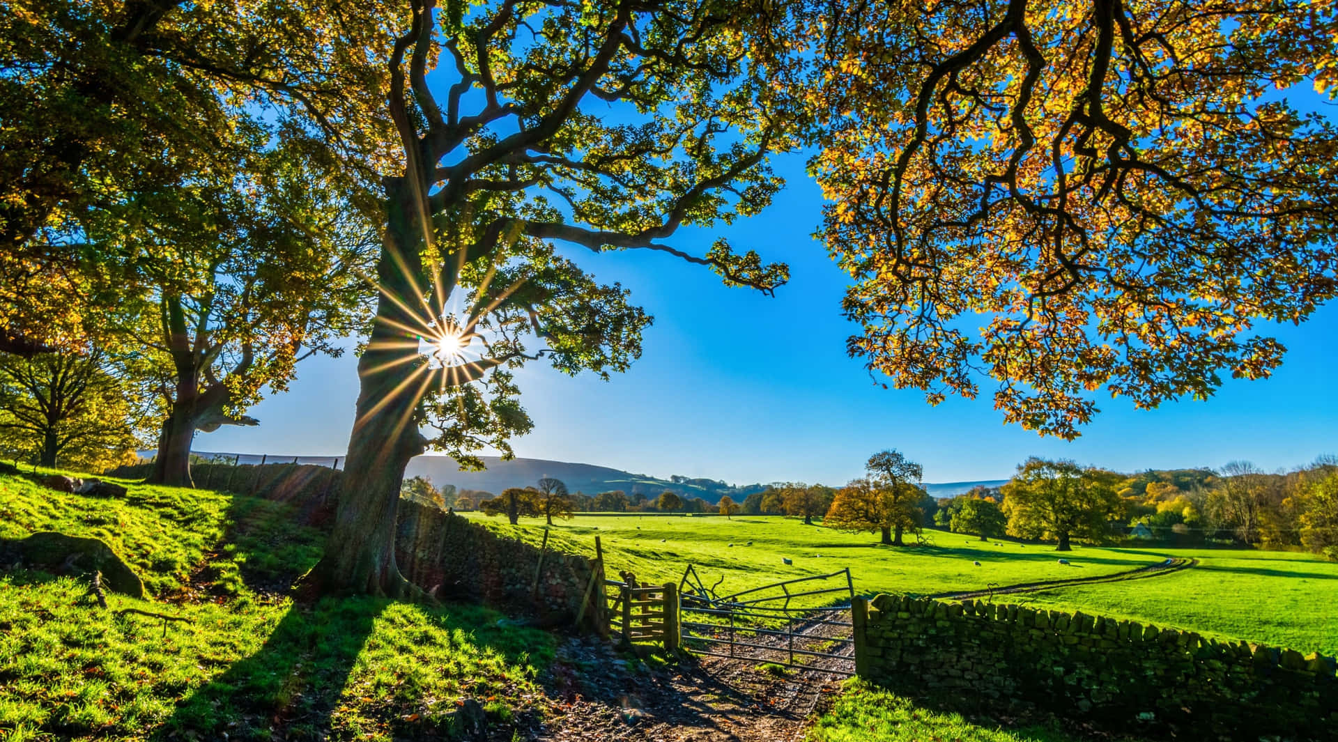 English Country Side 4K Ultra HD Landscape Wallpaper