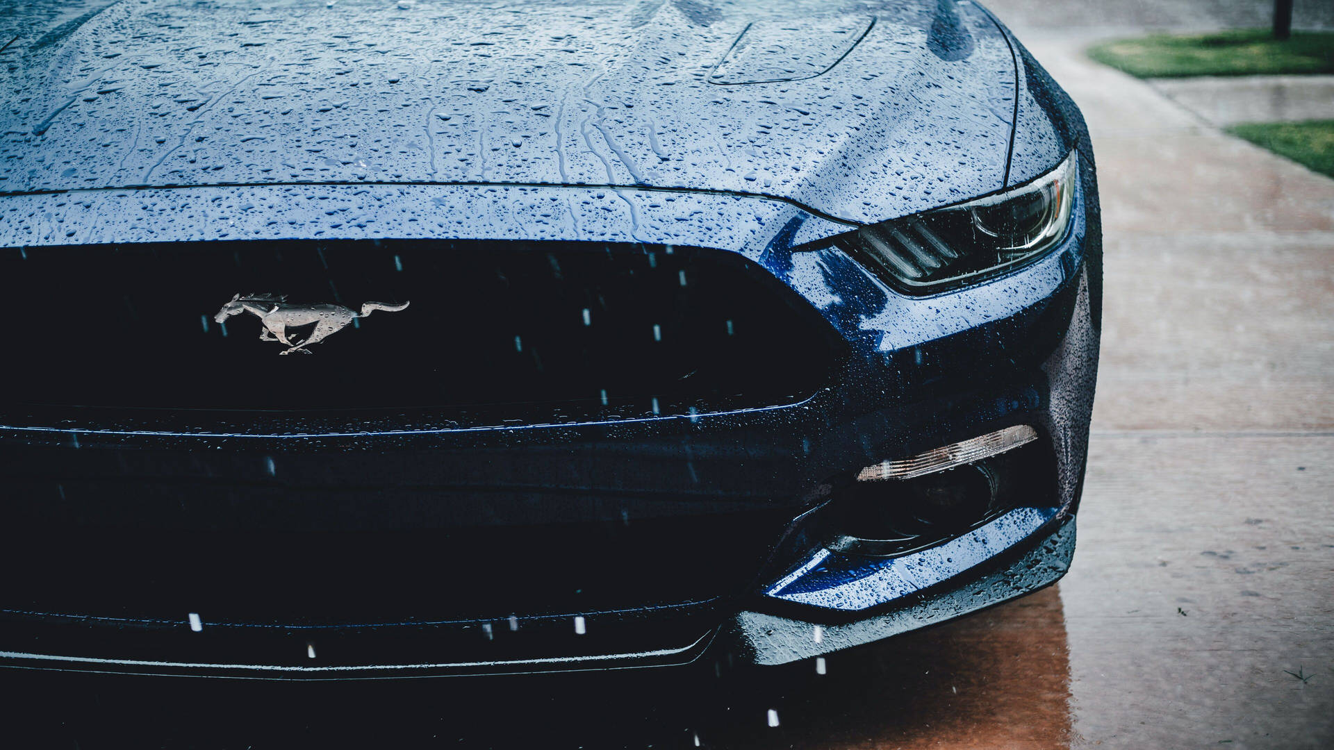 4K Ultra HD Mustang Front Bumper Wallpaper