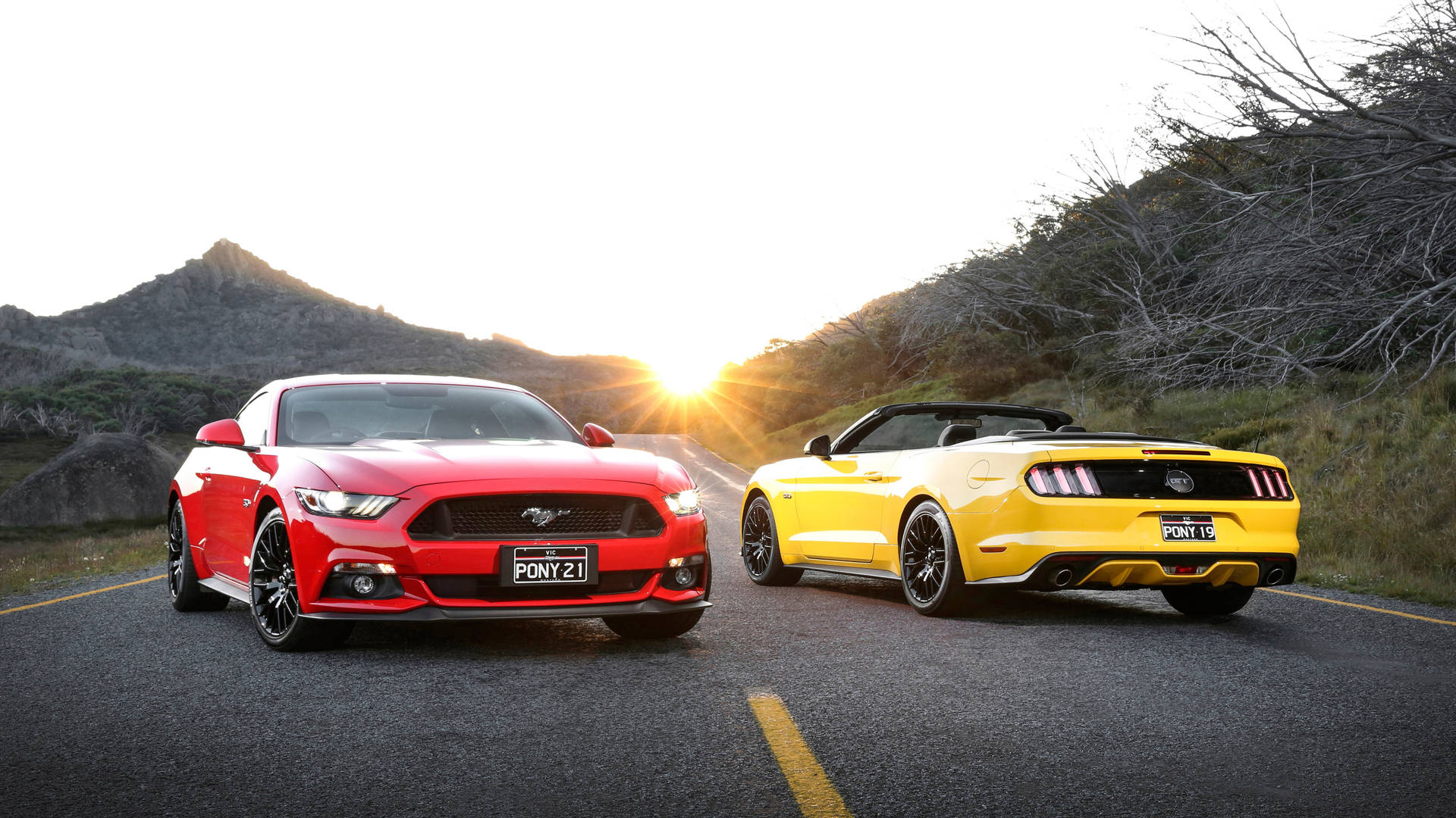 4K Ultra HD Mustang Red And Yellow Wallpaper