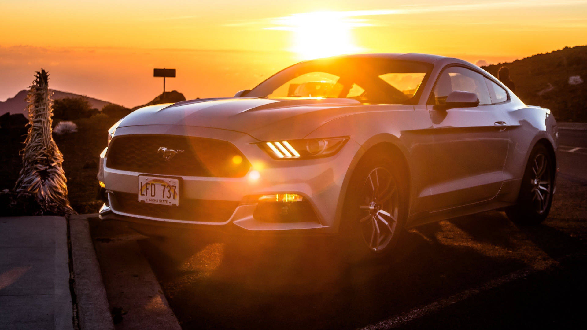 4K Ultra HD Mustang Med Solnedgang Baggrund Wallpaper