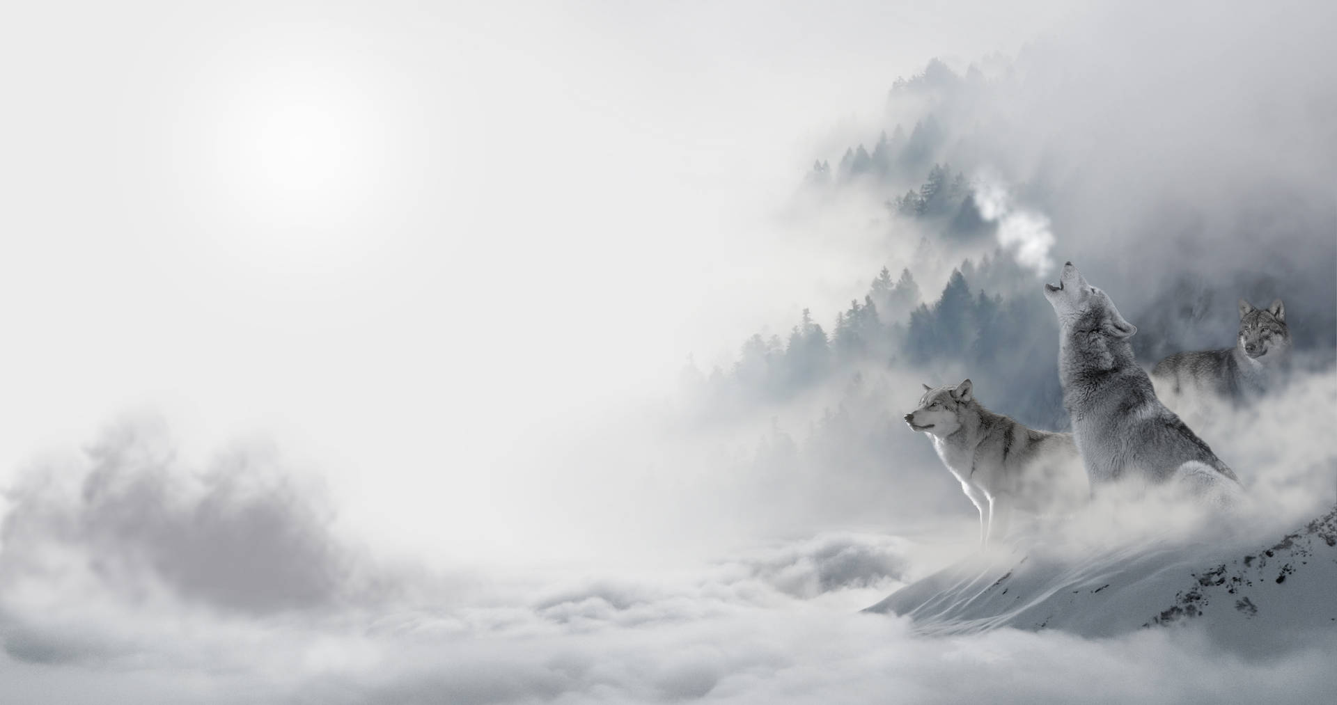 4k Ultra Hd Wolf In Fog Wallpaper