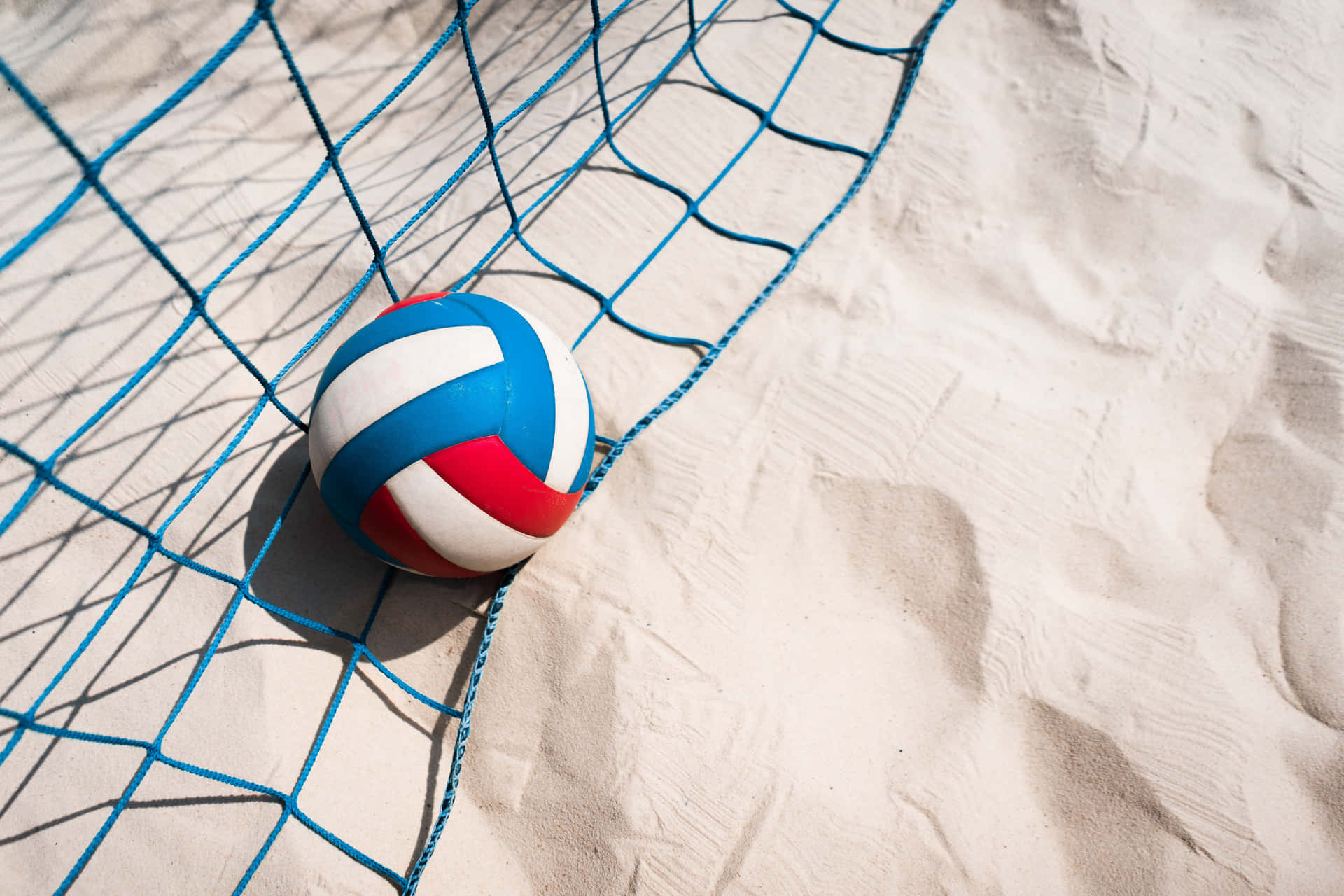 Enjoy the thrills of 4K Volleyball and bask in the glow of victory