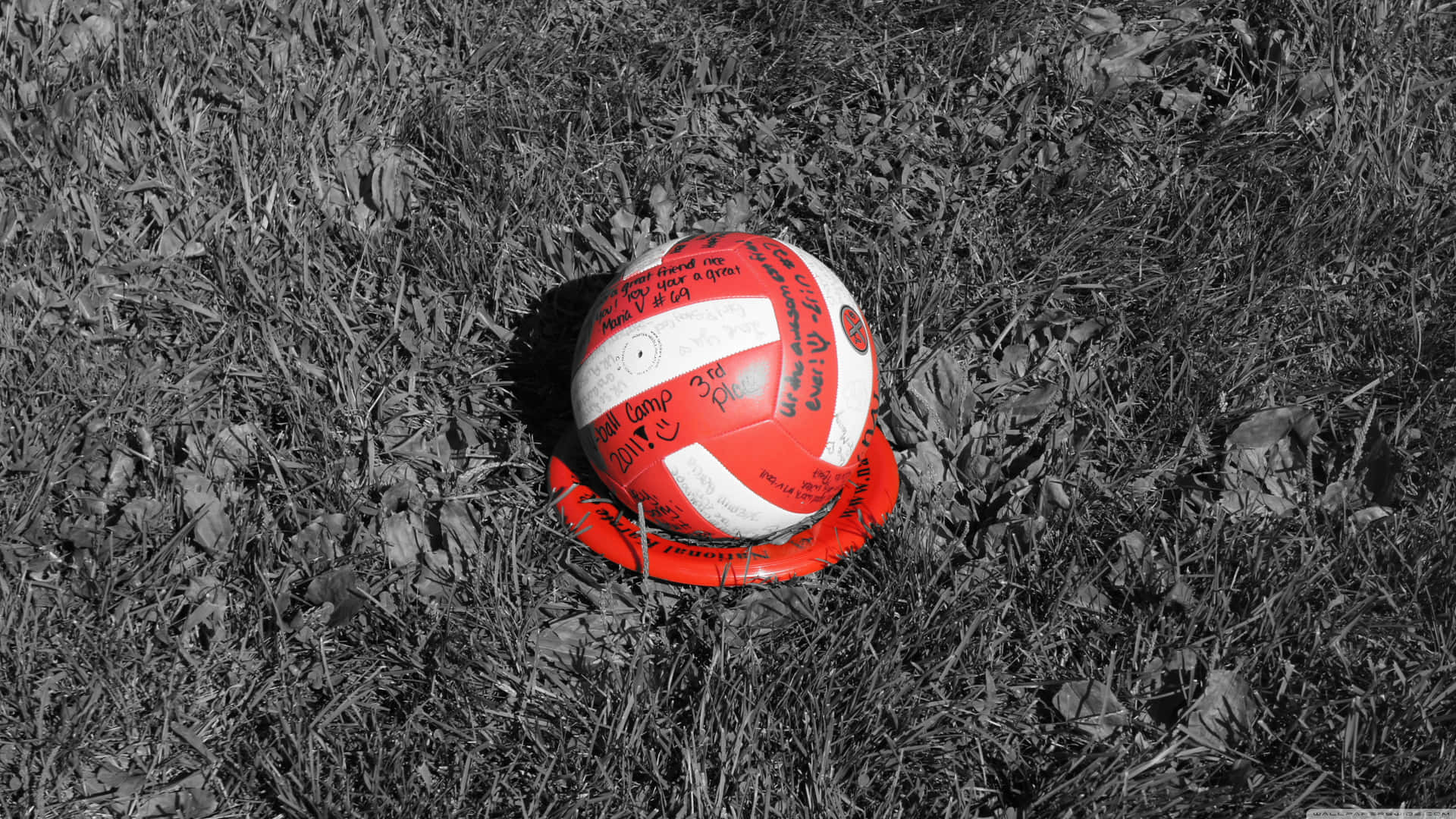 4k Volleyball Background Black And White Grass 3840 x 2160 Background