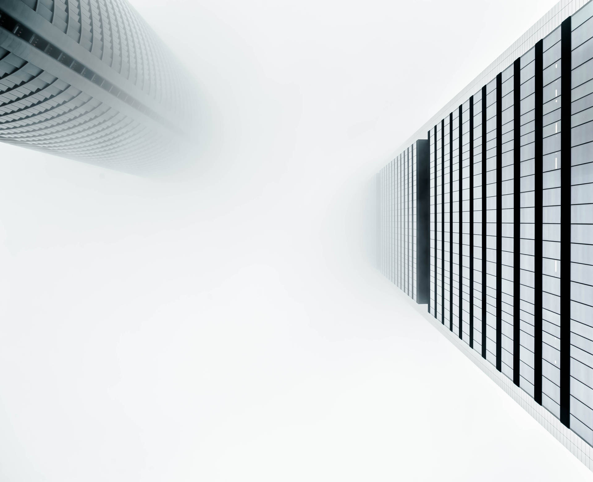 4k White Two Skyscrapers Background