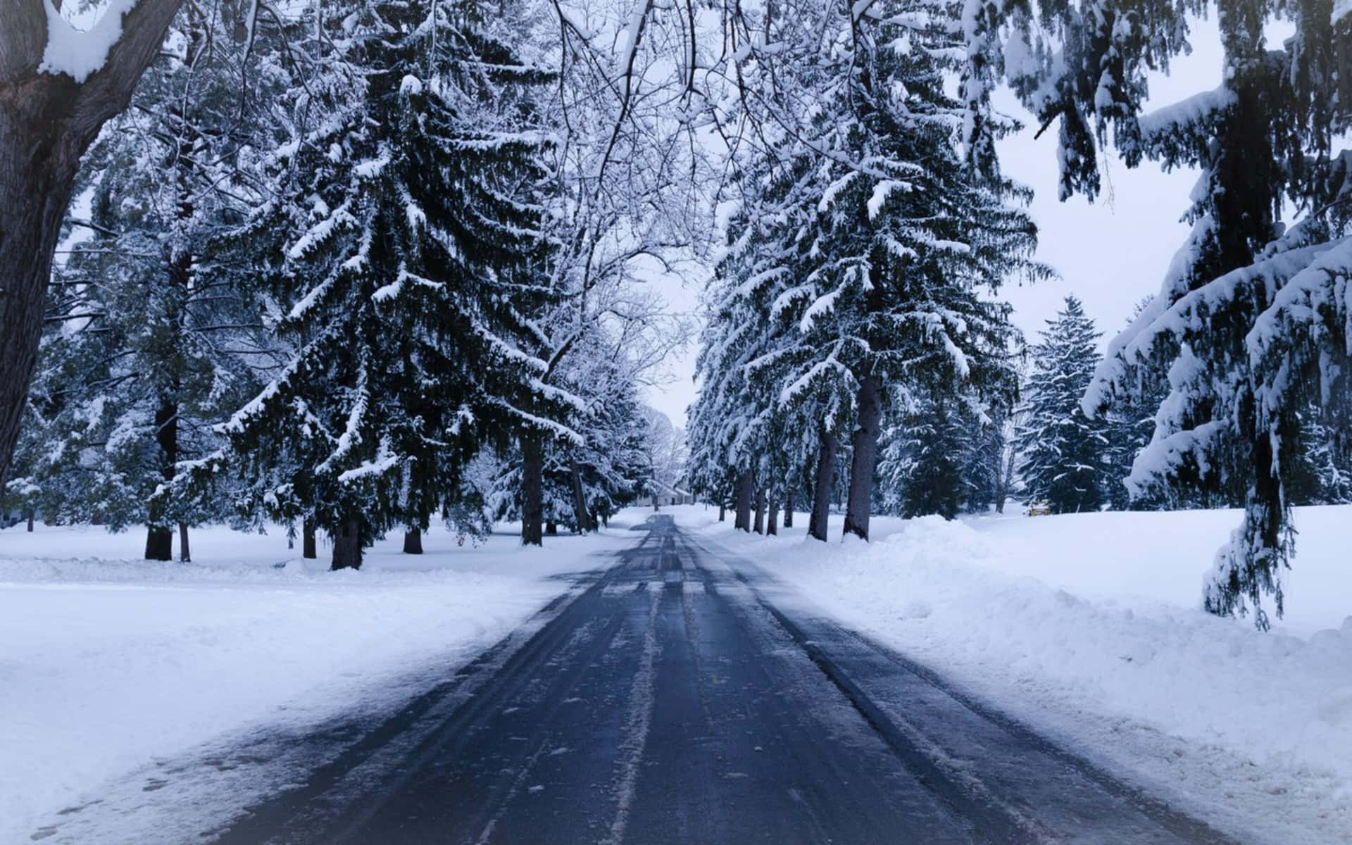 Empty Snowy Road In 4k Winter Background