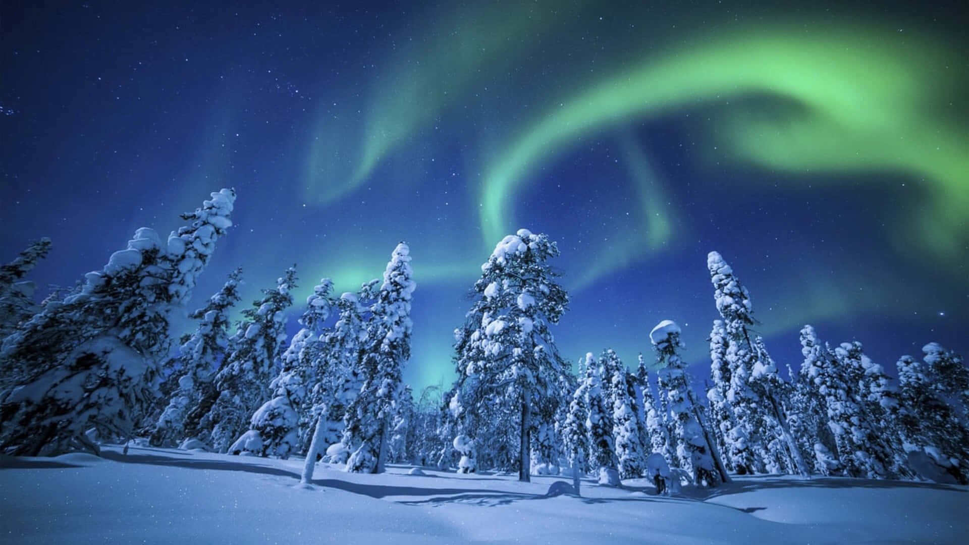 Northern Light In 4k Winter Background