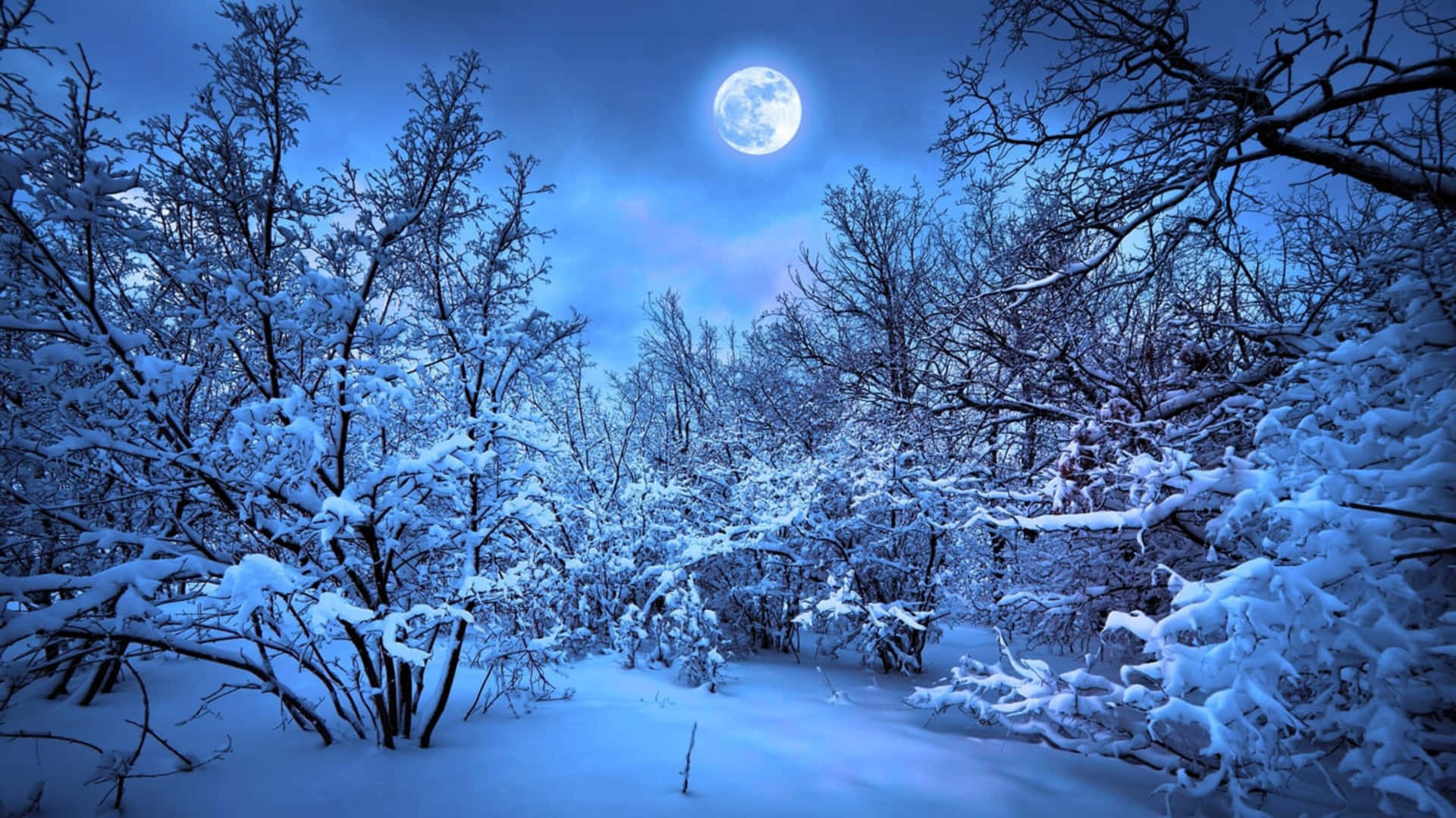 Full Moon In 4k Winter Background