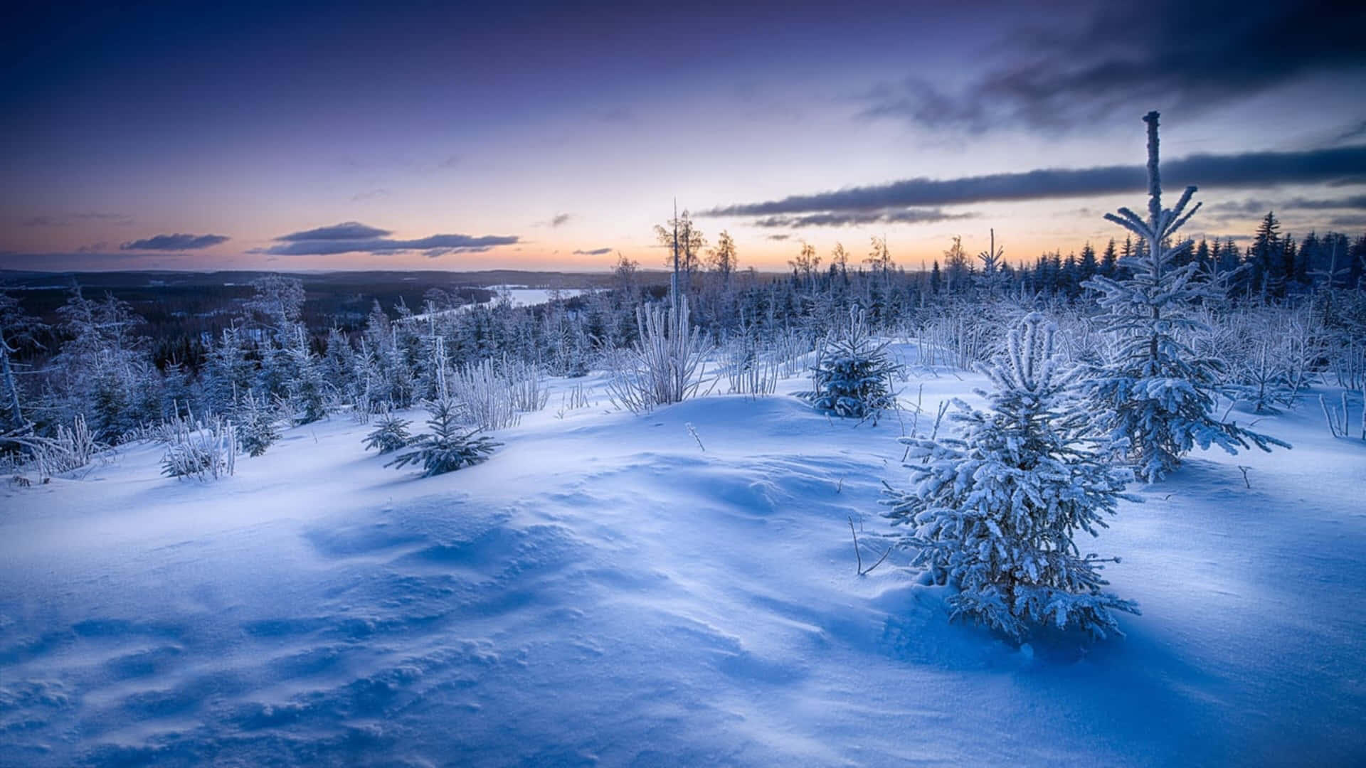 Snow Horizon In 4k Winter Background
