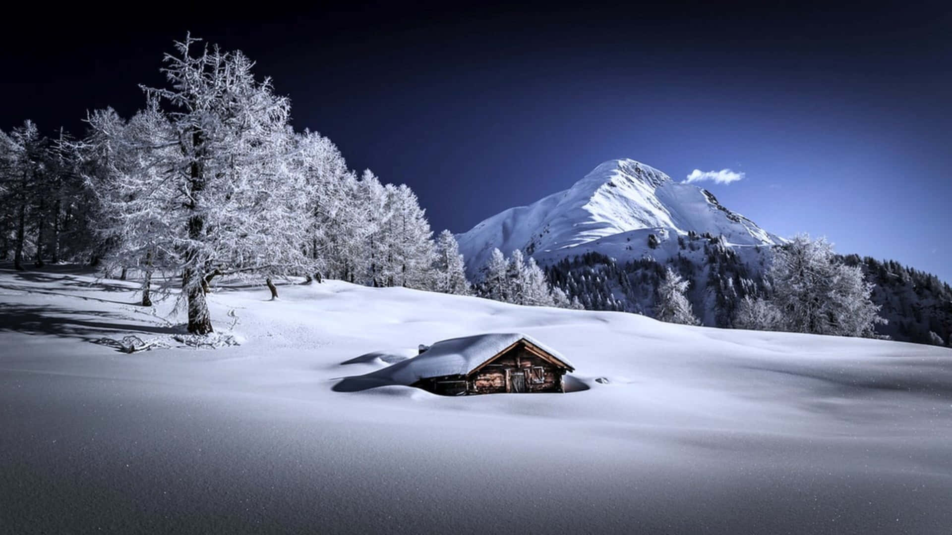 4k Winter Background With Winter House Background