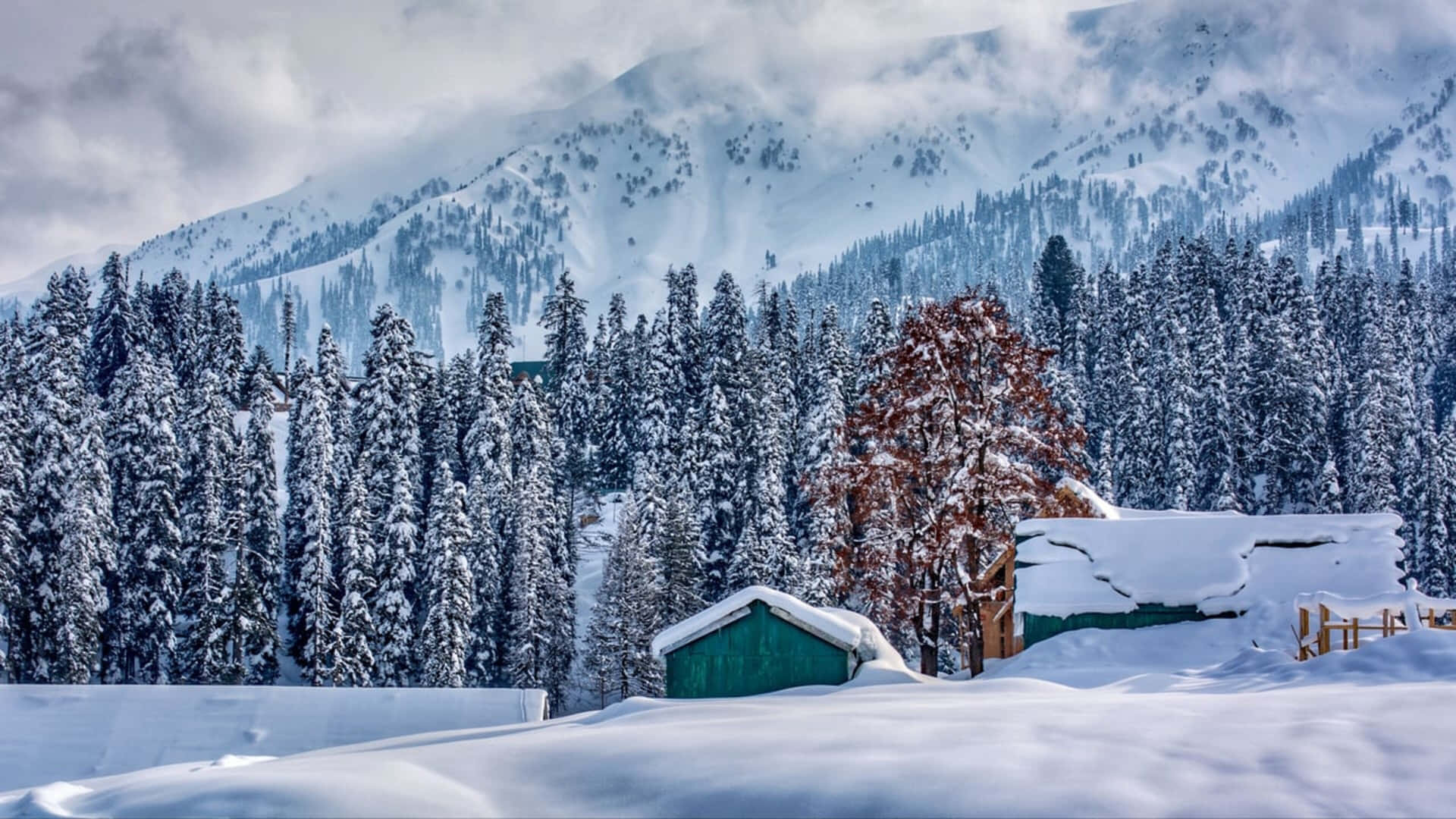 Kashmir In 4k Winter Background
