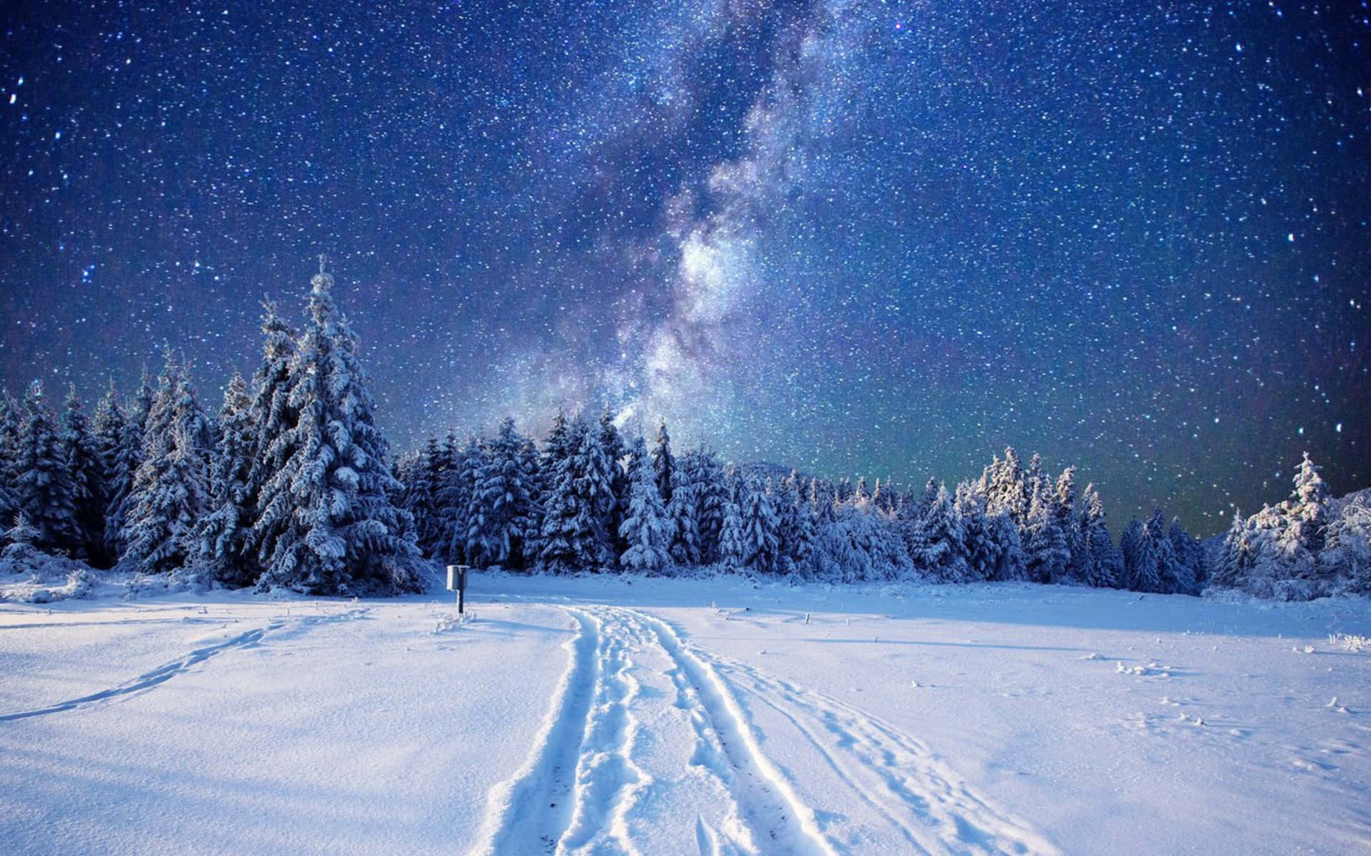 Milky Way Sky In 4k Winter Background
