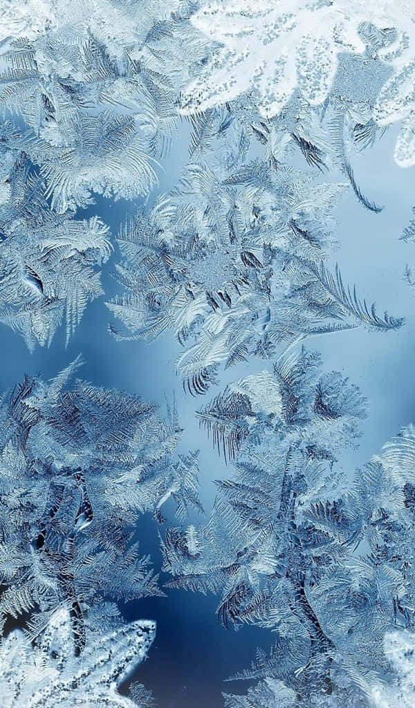 A Frozen Landscape Wallpaper