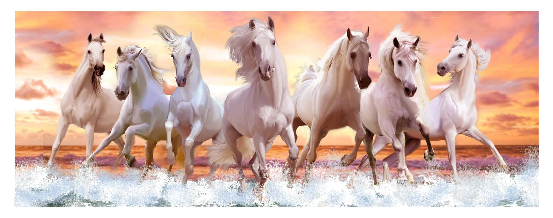 Download 7 White Horses On Sea Shore Wallpaper 