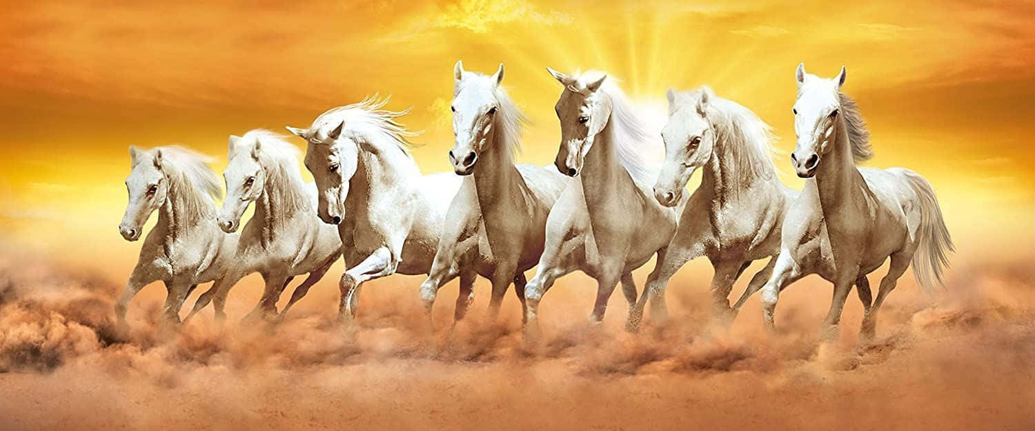 7 White Horses Running Through Brown Mist Wallpaper