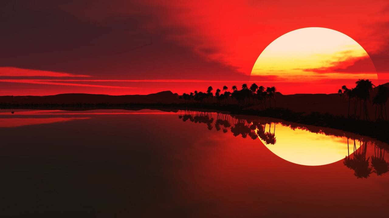 A Red Sunset With Palm Trees And Water