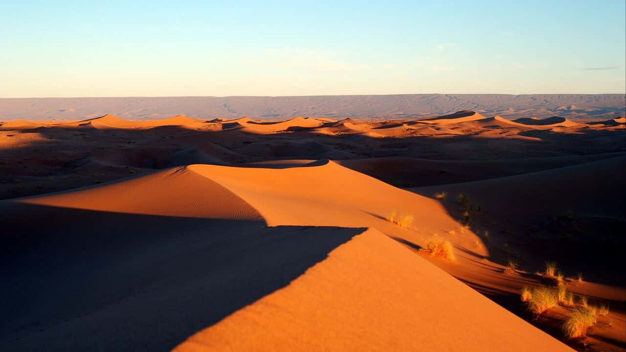 A Desert Scene With Sand Dunes And Grass