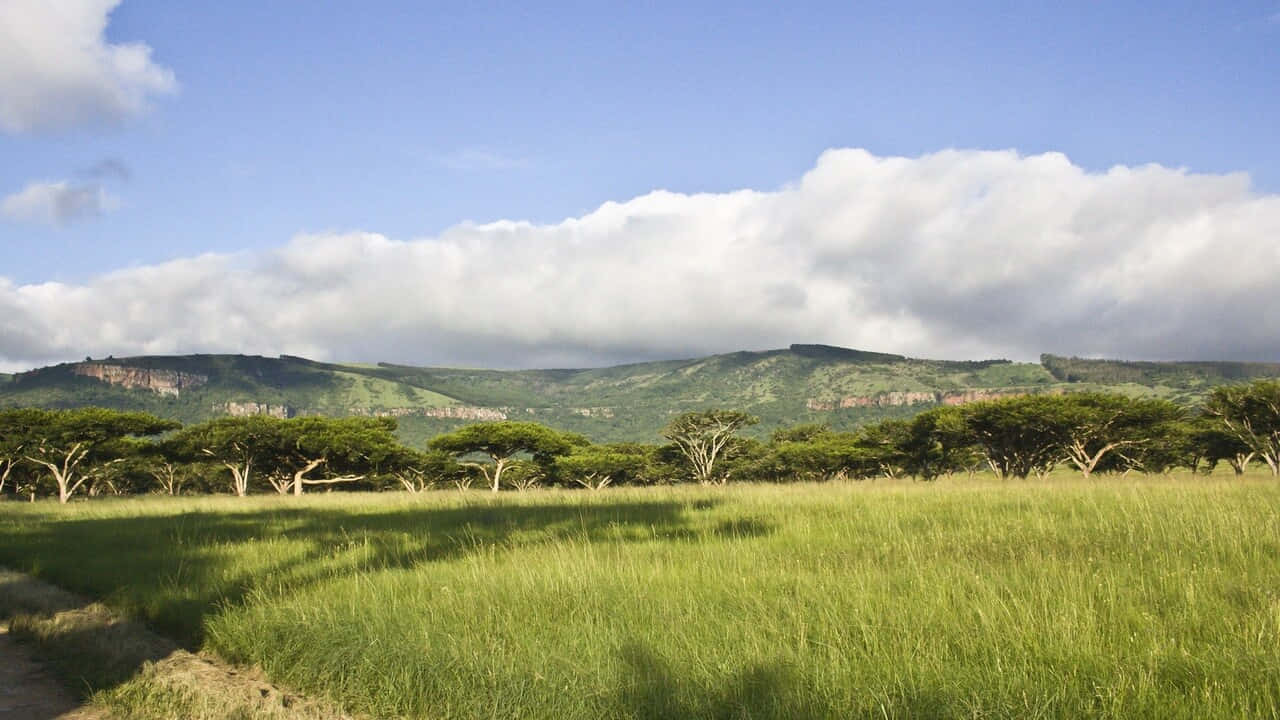 Un'avventurati Aspetta Nelle Selvagge Terre Dell'africa