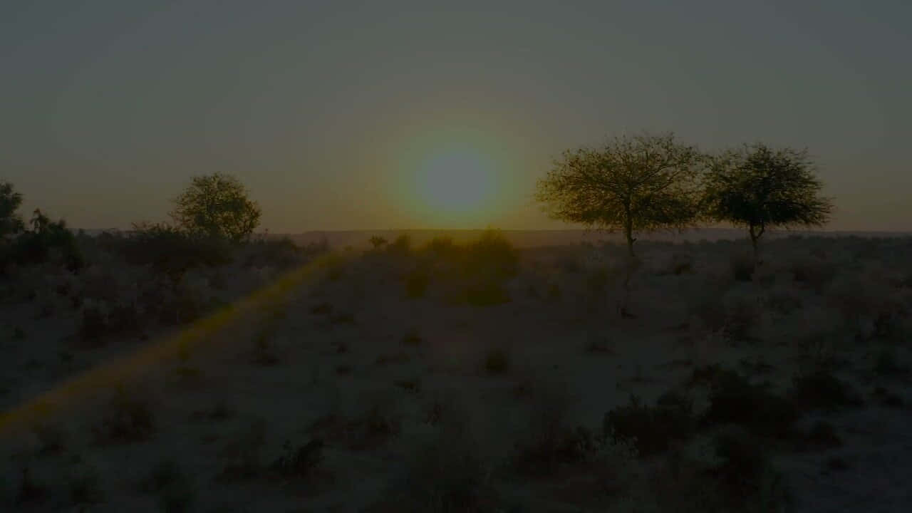 A Sunset In The Desert With Trees In The Background