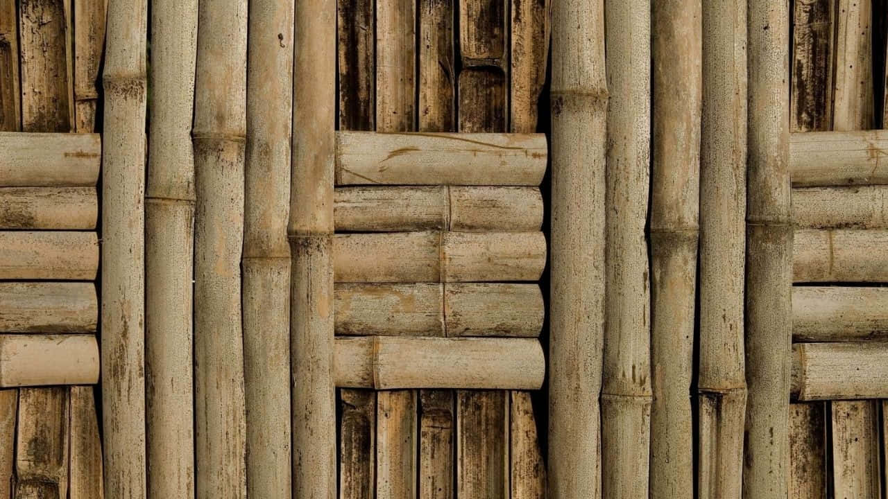 Inspiraciónzen: Exuberantes Brotes De Bambú En Alta Definición Rodeando Una Pequeña Piscina Clara.