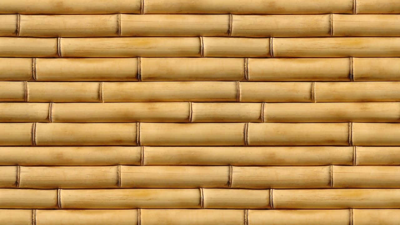 Bamboo in calming, 720p resolution