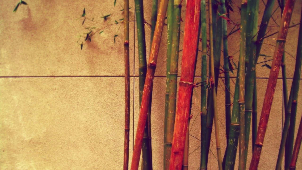 Idillicobosco Di Bambù Con Vibranti Tonalità Di Verde.