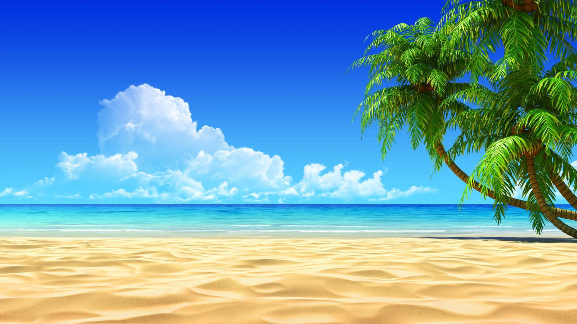 720p Beach Seashore Fine Sand Background