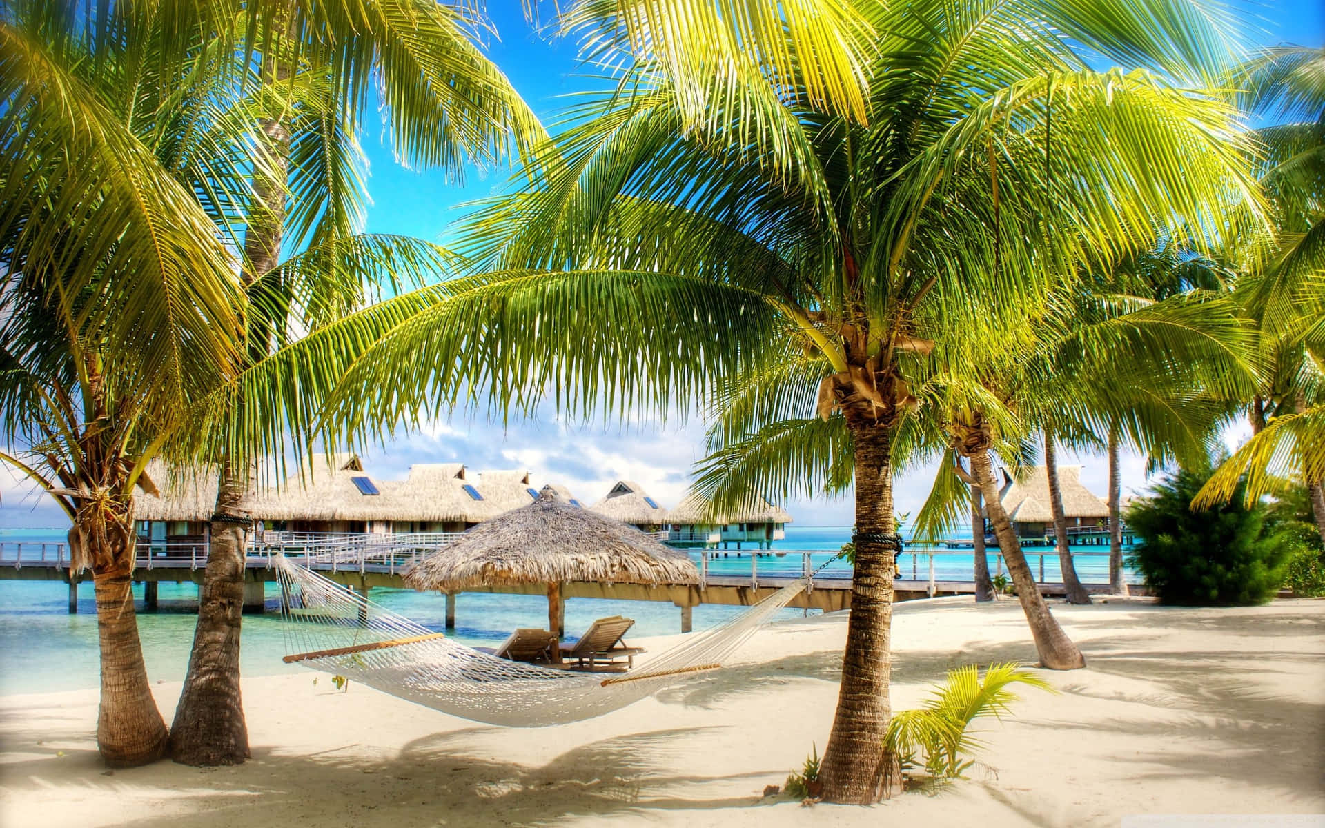720p Beach Cabanas And Palm Trees Background