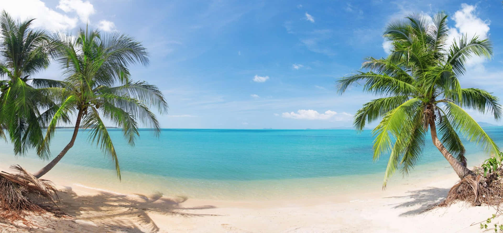 Take a Break and Relax on the Beautiful 720P Beach