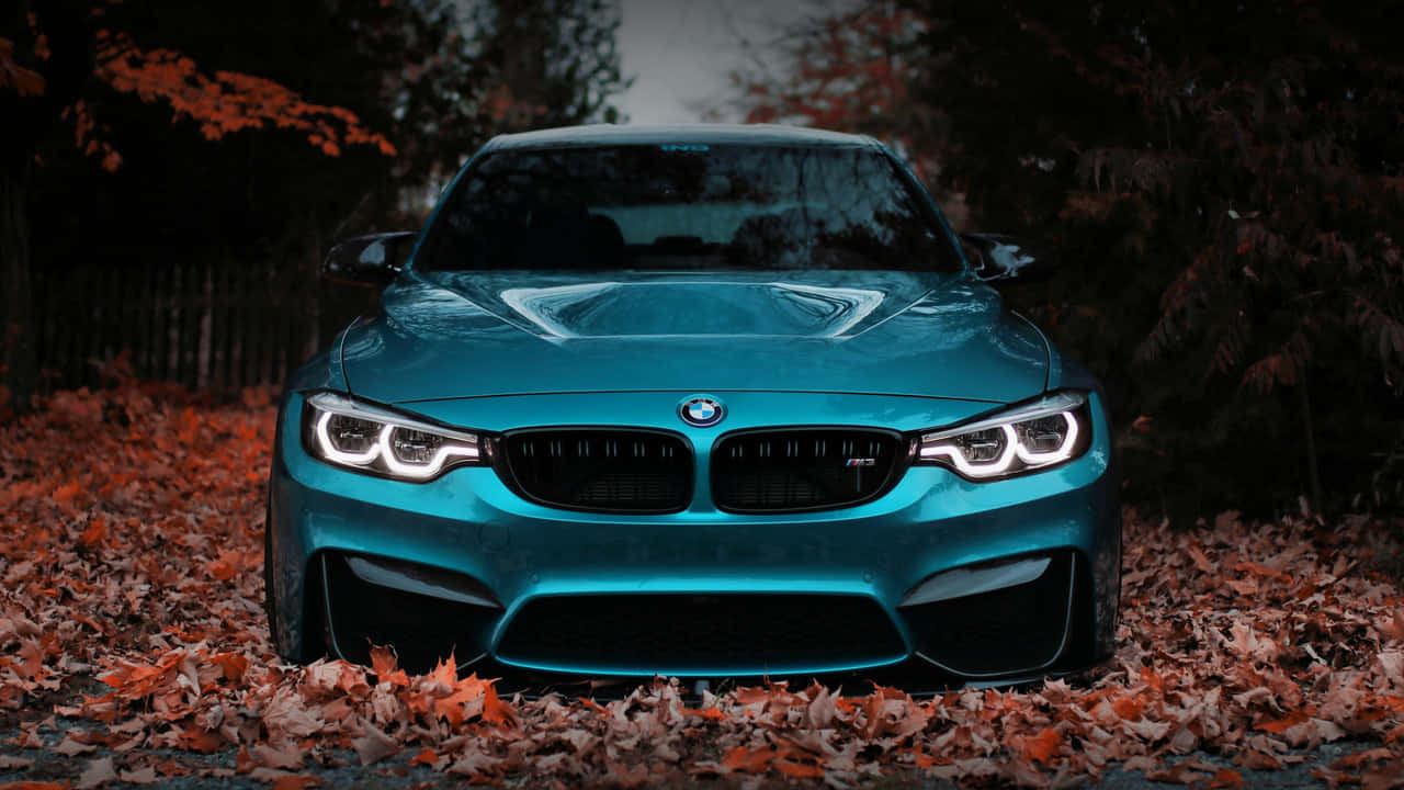 Enjoy the sleek and dynamic design of the BMW