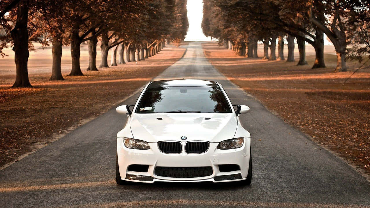 Show Your Passion for Speed with a BMW