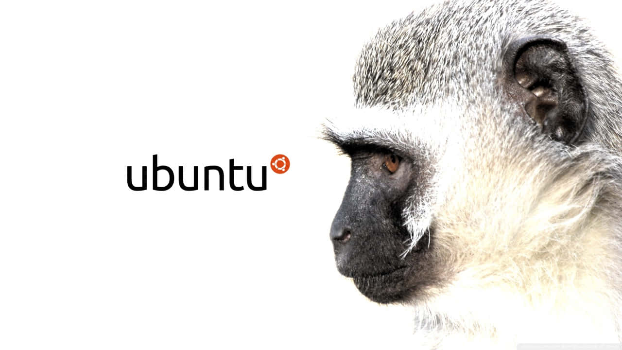 Ubuntu Digital Art 720p Gibbon Background