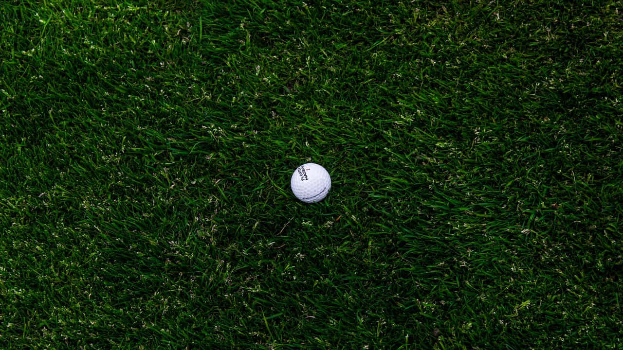 White And Green 720p Golf Background